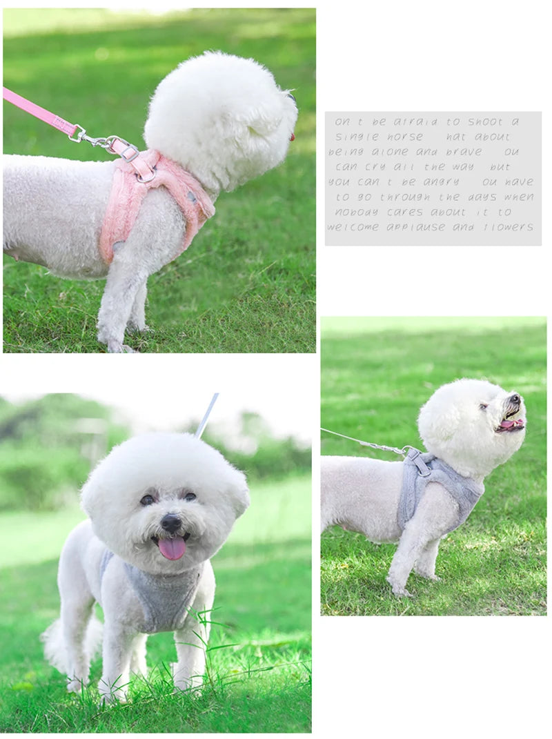 Thicken Fur Puppy Dog Harness and Leash Set for Small Dogs Winter Warm Pet Cat Harnesses Bichon Lead Chain mascotas Accessories