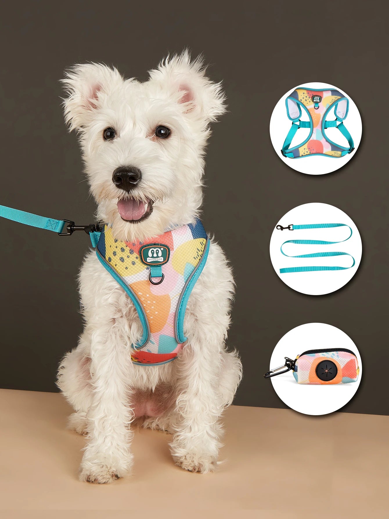 3Pcs/Set Cute Print Adjustable Luxury Design Pet Harness&Leashes&Poop Bag Holder For The Cat And Dog Walking