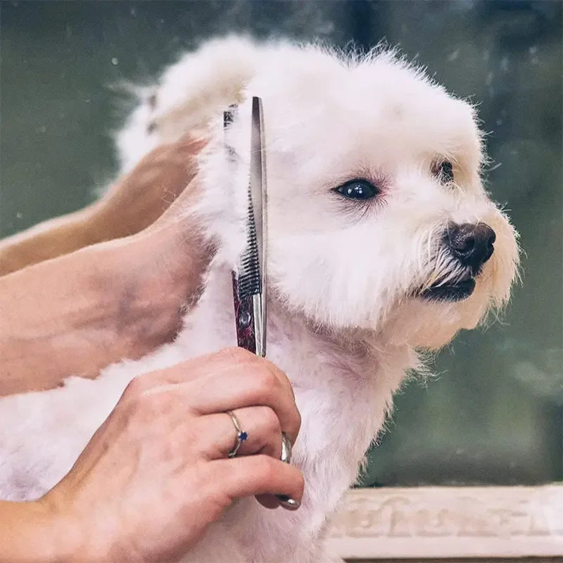 Premium Pet Grooming Scissors