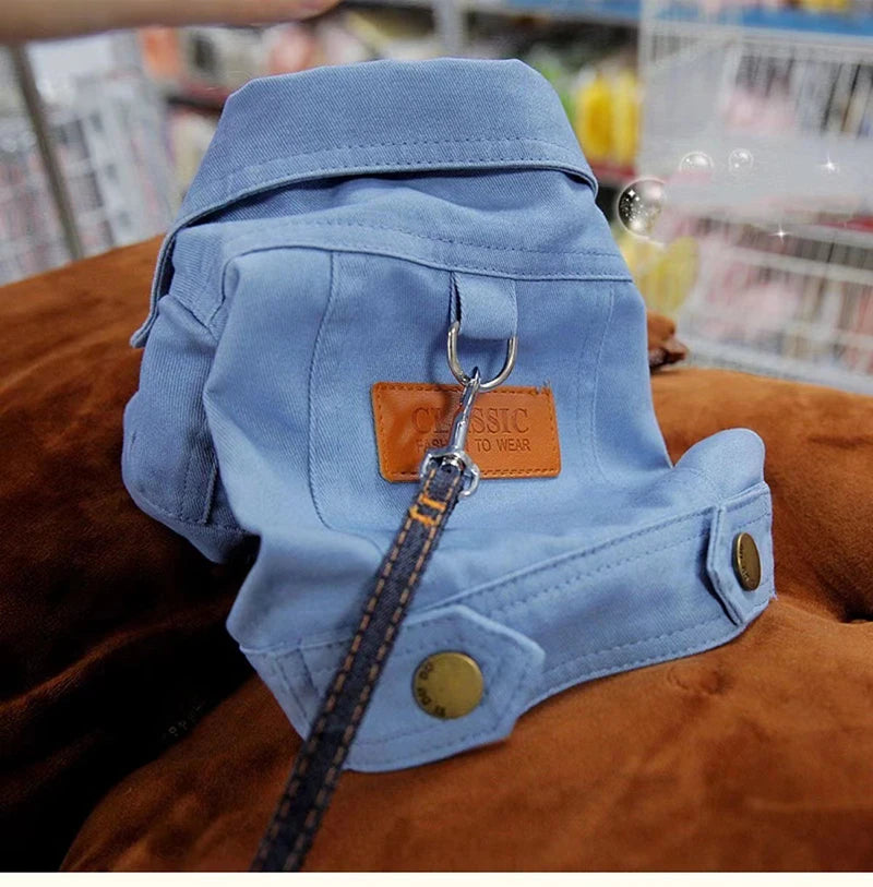 Pet Dog Coat with D-Ring Spring Summer Dog Clothes for Small Medium Dogs Puppy Outfits Jacket Chihuahua Yorks Clothing