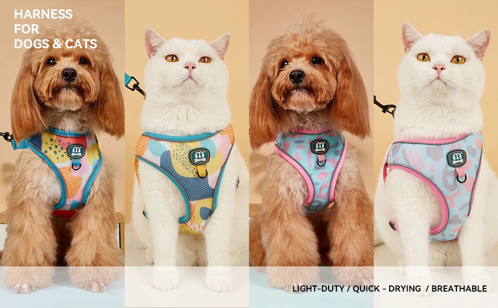 3Pcs/Set Cute Print Adjustable Luxury Design Pet Harness&Leashes&Poop Bag Holder For The Cat And Dog Walking