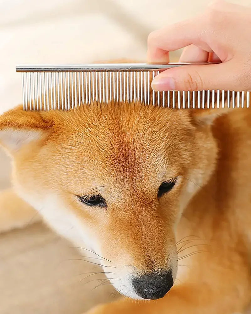 Premium Pet Grooming Scissors