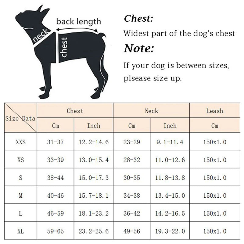Thicken Fur Puppy Dog Harness and Leash Set for Small Dogs Winter Warm Pet Cat Harnesses Bichon Lead Chain mascotas Accessories