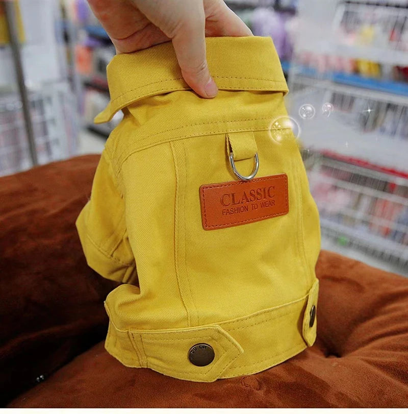 Pet Dog Coat with D-Ring Spring Summer Dog Clothes for Small Medium Dogs Puppy Outfits Jacket Chihuahua Yorks Clothing