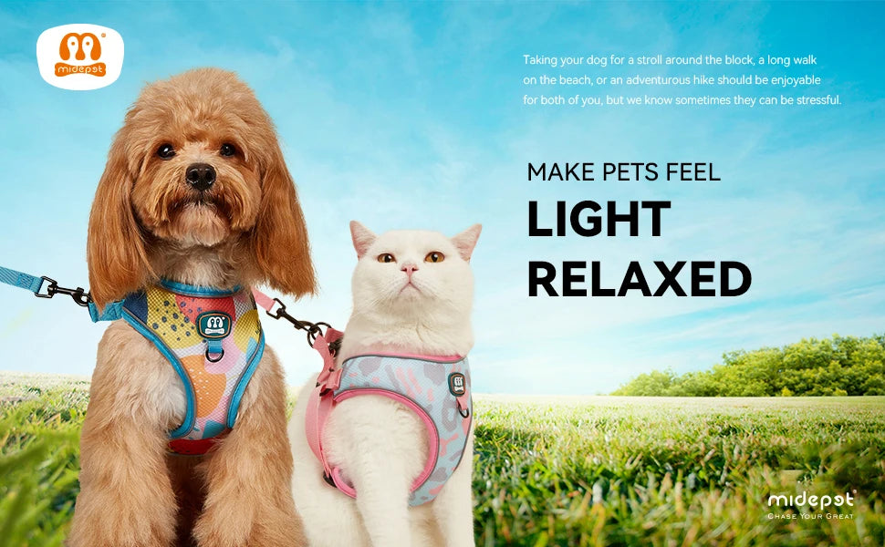 3Pcs/Set Cute Print Adjustable Luxury Design Pet Harness&Leashes&Poop Bag Holder For The Cat And Dog Walking