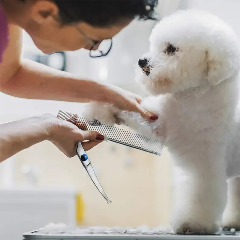 Premium Pet Grooming Scissors