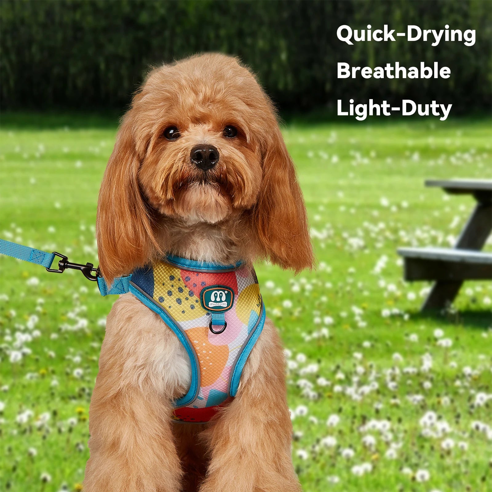 3Pcs/Set Cute Print Adjustable Luxury Design Pet Harness&Leashes&Poop Bag Holder For The Cat And Dog Walking