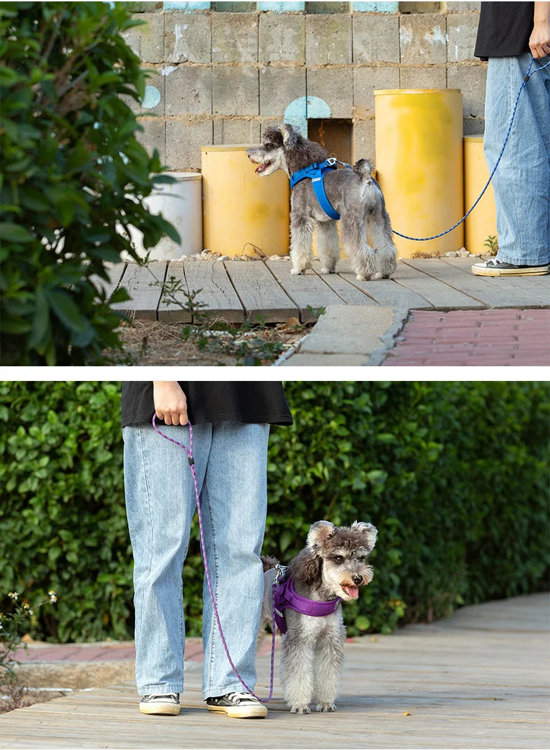 Truelove Pet Leash Lightweight Nylon Rope Dog Leash Small Dog Cat Outdoor Fashion Designed Pet Product New Style TLL2576