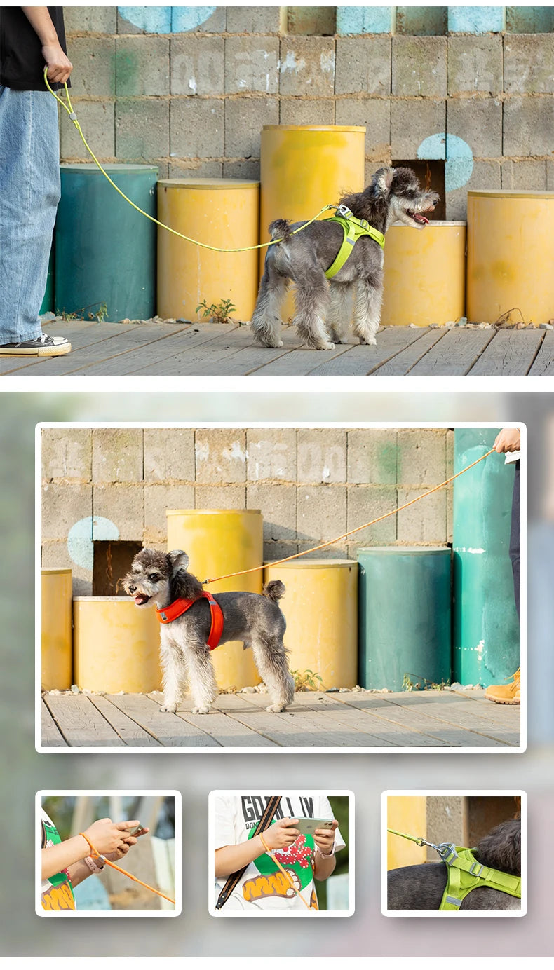 Truelove Pet Leash Lightweight Nylon Rope Dog Leash Small Dog Cat Outdoor Fashion Designed Pet Product New Style TLL2576